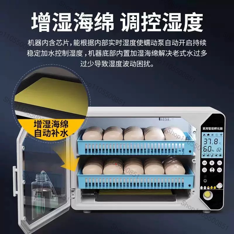 고급형 소형 가정용 자동 계란 부화기 루틴 치킨 부화기 - Lab Incubator 리뷰 및 가격