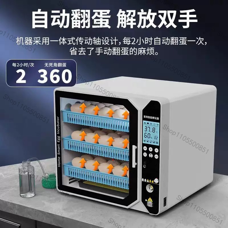 고급형 소형 가정용 자동 계란 부화기 루틴 치킨 부화기 - Lab Incubator 리뷰 및 가격